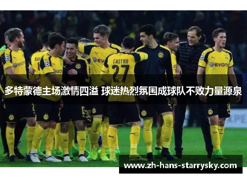 多特蒙德主场激情四溢 球迷热烈氛围成球队不败力量源泉