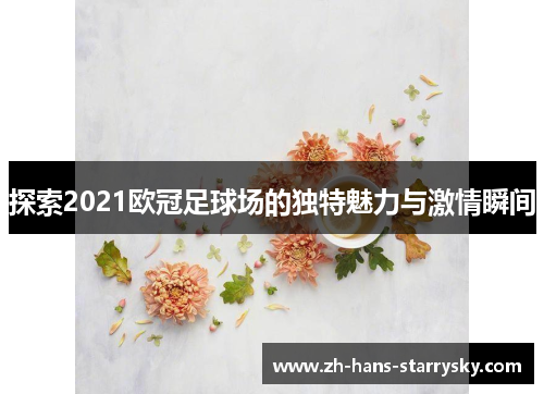 探索2021欧冠足球场的独特魅力与激情瞬间
