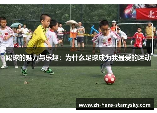 踢球的魅力与乐趣：为什么足球成为我最爱的运动